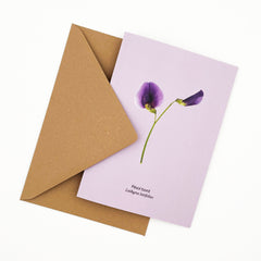 Postal o felicitación botánica de una flor de albejana basta