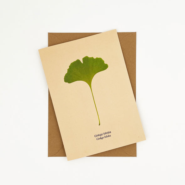 Postal o felicitación botánica de una hoja de ginkgo