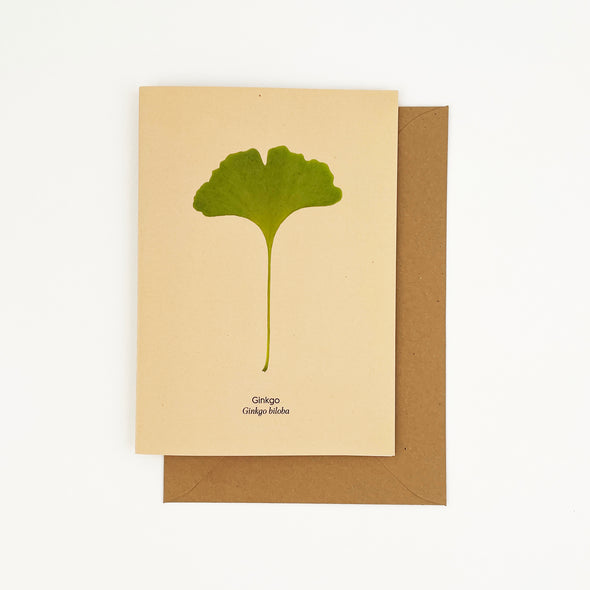 Postal o felicitación botánica de una hoja de ginkgo