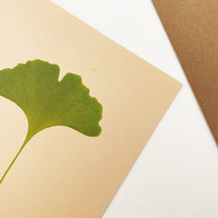 Detalle de una postal o felicitación botánica de una hoja de ginkgo prensada